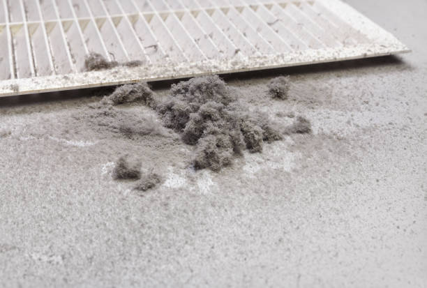  Maple Plain, MN Airduct Cleaning Pros