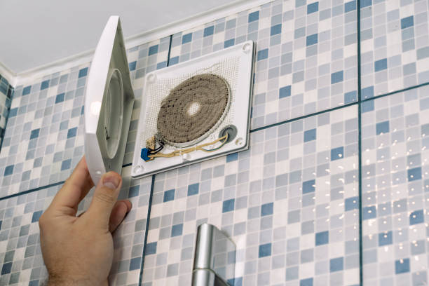Best Home Air Vent Cleaning  in Maple Plain, MN