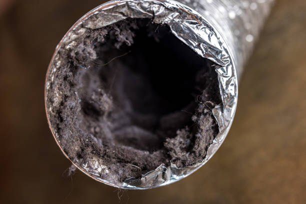 Best Commercial HVAC Duct Cleaning  in Maple Plain, MN